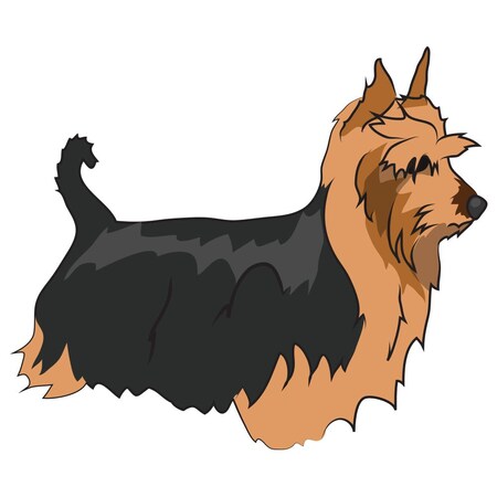 Signmission Silky Terrier Dog Decal, Dog Lover Decor Vinyl Sticker D-12-Silky Terrier